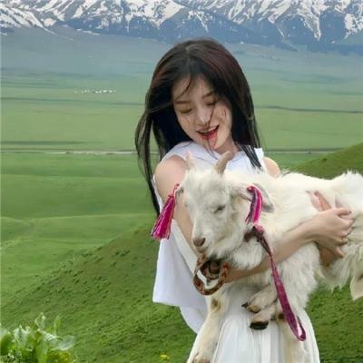 潜行追踪 第三季 海报